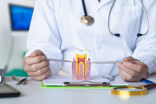 Best Emergency Denture Repair in Lone Jack, MO